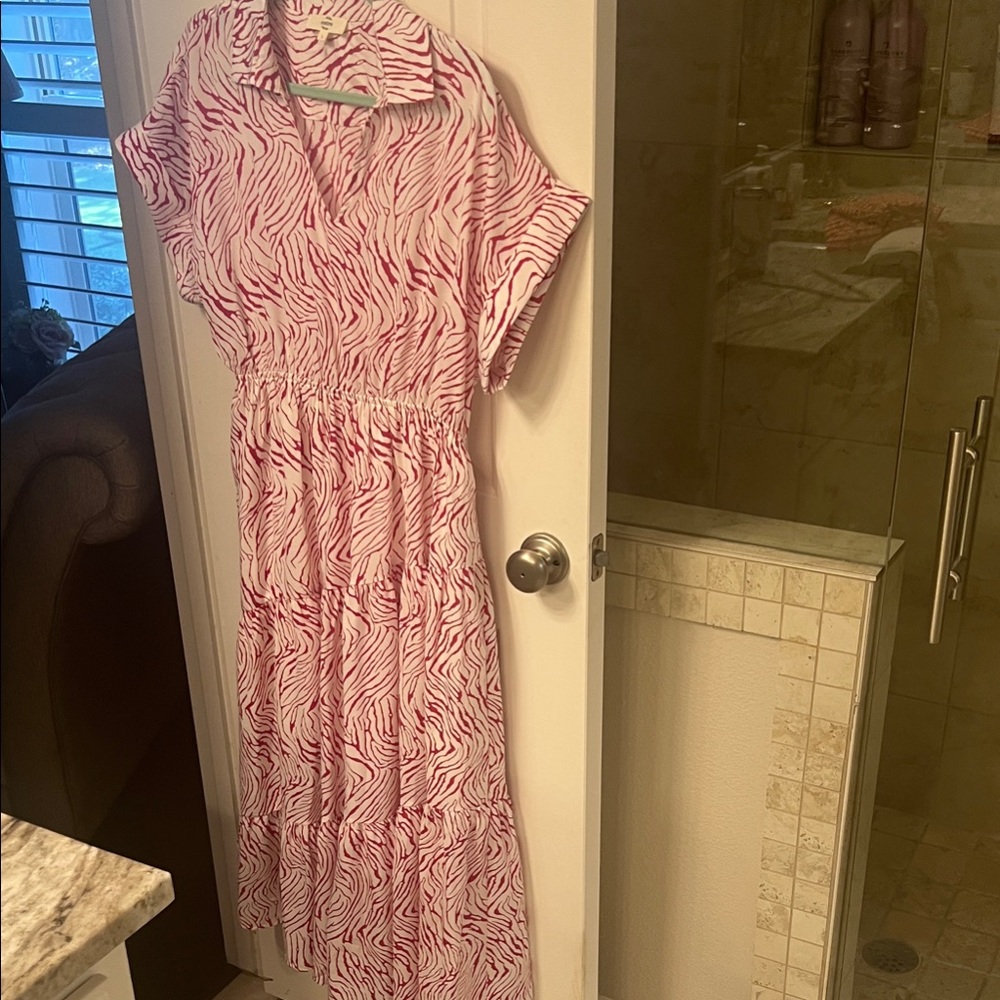 Entry Animal Print Shirtdress